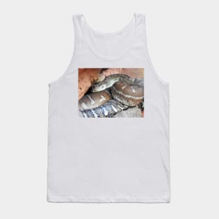 Centralian Carpet Python Tank Top